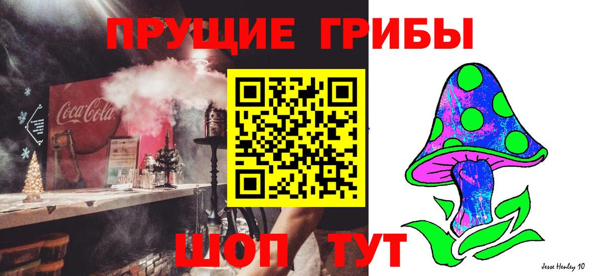 Псилоцибиновые грибы Psilocybine cubensis Волгодонск